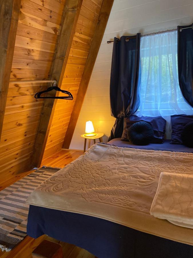 Žabljak Woodmoodヴィラ エクステリア 写真